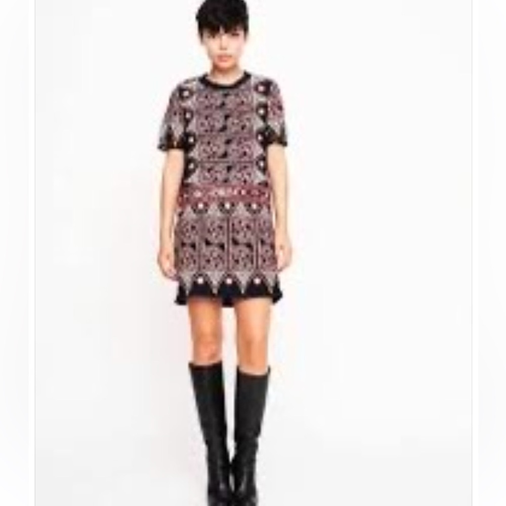 Sea New York Embroidered Mini Dress Size 4